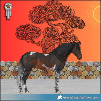 Horse Color:Brown Tobiano 