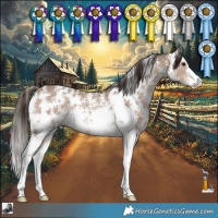 Horse Color:Liver Red Dun Sabino 