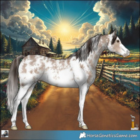 Horse Color:Liver Red Dun Sabino 