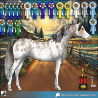 Horse Color:Liver Red Dun Sabino