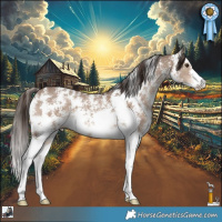 Horse Color:Liver Red Dun Sabino 