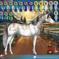 Horse Color:Liver Red Dun Sabino 