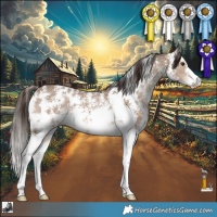 Horse Color:Liver Red Dun Sabino