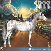 Horse Color:Liver Red Dun Sabino 