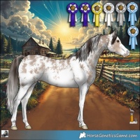 Horse Color:Liver Red Dun Sabino 