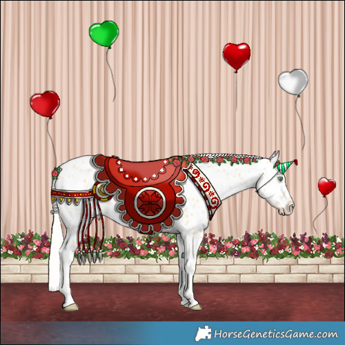 Horse Color:Gold Cream Champagne Appaloosa 