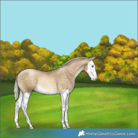 Horse Color:Silver Buckskin Pearl Splash