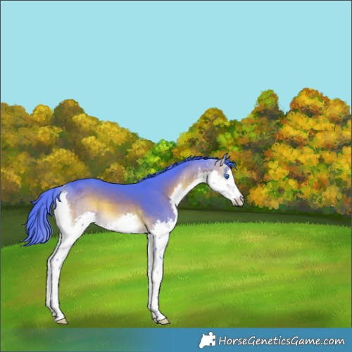 Horse Color:Watercolor Chocolate Brown Onyx Splash 