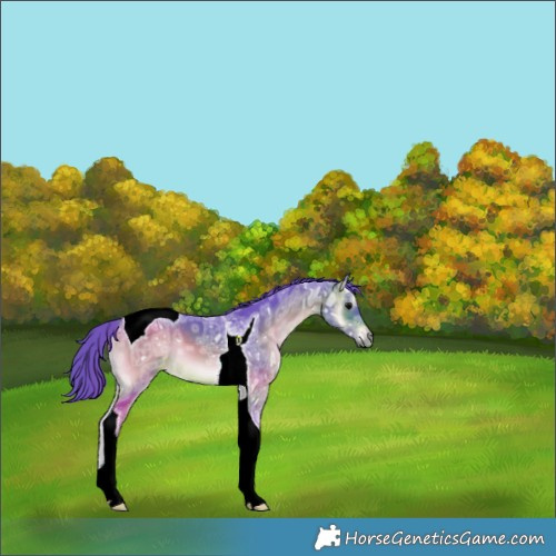 Horse Color:Watercolor Brown Ice Onyx Tobiano 