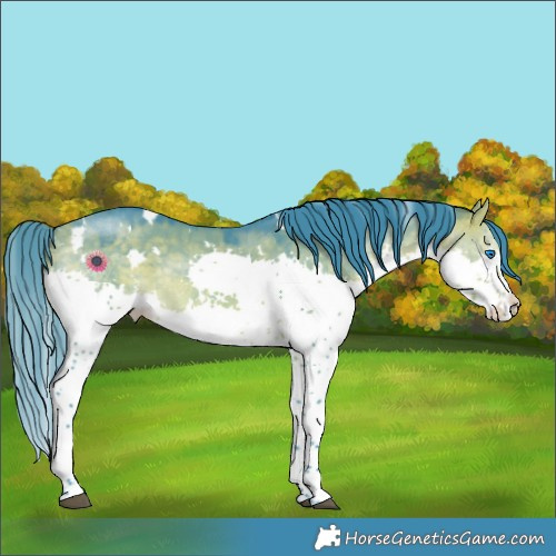 Horse Color:Watercolor White Spotted Buckskin Dun Splash Rabicano 