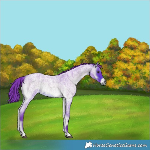 Horse Color:Watercolor Chocolate Brown Roan Onyx Rabicano 