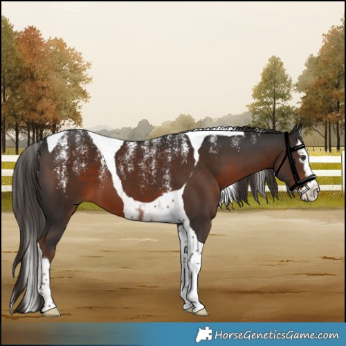 Horse Color:Powder White Liver Chestnut Splash Tobiano 