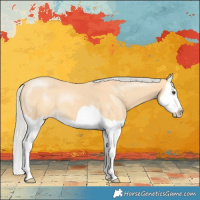 Horse Color:Silver Buckskin Splash 
