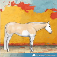 Horse Color:Silver Buckskin Splash