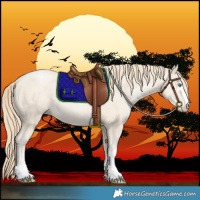 Horse Color:Smoky Black Pearl 
