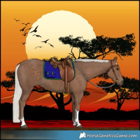 Horse Color:Silver Black Tobiano 