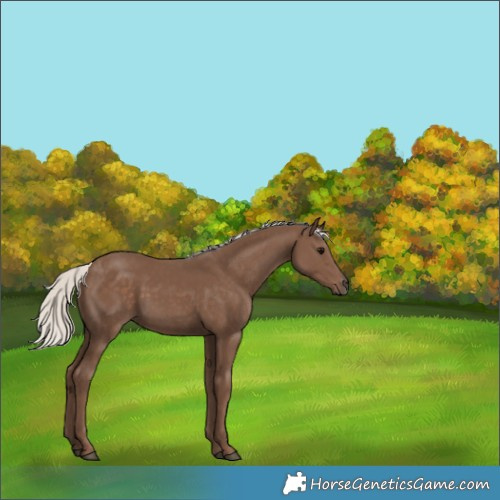 Horse Color:Silver Black 