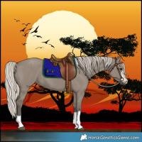 Horse Color:Silver Grullo