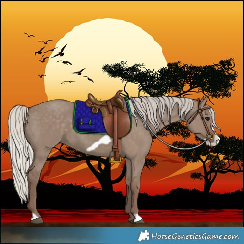 Horse Color:Silver Grullo Frame 