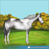 Horse Color:Gray Platinum Brown Onyx Tobiano 