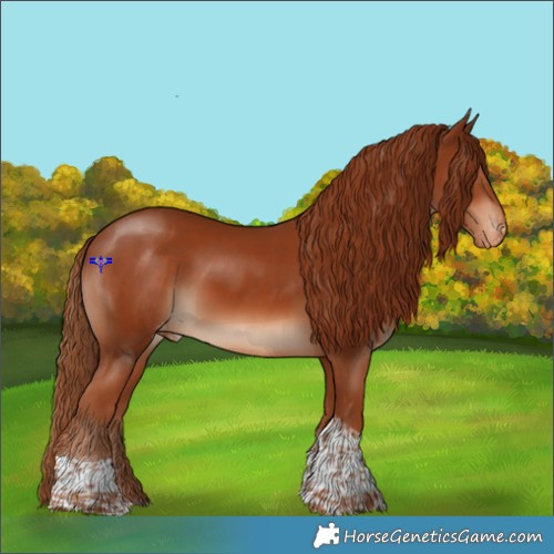 Horse Color:Chestnut Tobiano Appaloosa Rabicano 