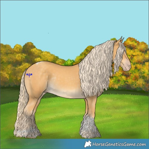 Horse Color:Gold Cream Champagne Tobiano Rabicano 