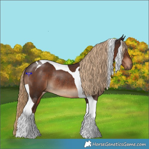 Horse Color:Liver Chestnut Tobiano Rabicano 