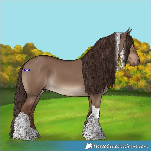 Horse Color:Liver Red Dun Tobiano Rabicano 