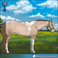 Horse Color:Brown Snowdrop Dun Tobiano Varnish Rabicano 