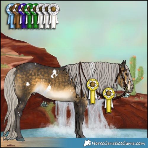 Horse Color:White Spotted Silver Buckskin Rabicano 