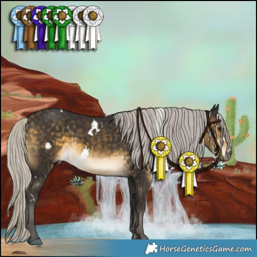 Horse Color:White Spotted Silver Buckskin Rabicano 