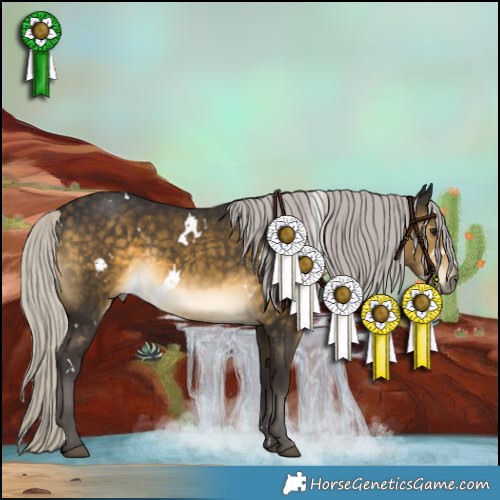 Horse Color:White Spotted Silver Buckskin Rabicano 