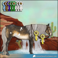 Horse Color:White Spotted Silver Buckskin Rabicano