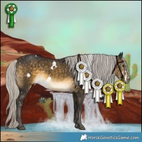Horse Color:White Spotted Silver Buckskin Rabicano 