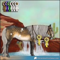 Horse Color:White Spotted Silver Buckskin Rabicano 