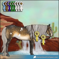 Horse Color:White Spotted Silver Buckskin Rabicano 