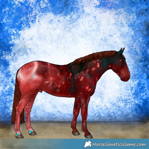 Horse Color:ERROR: UNKNOWN ANOMALY