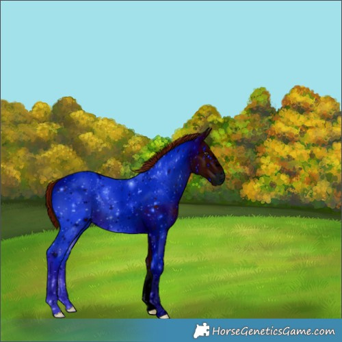 Horse Color:ERROR: UNKNOWN ANOMALY