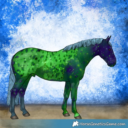 Horse Color:ERROR: UNKNOWN ANOMALY
