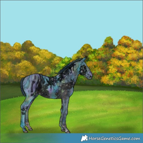 Horse Color:ERROR: UNKNOWN ANOMALY