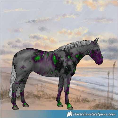 Horse Color:ERROR: UNKNOWN ANOMALY