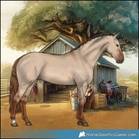 Horse Color:Red Dun