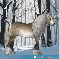 Horse Color:Gray Silver Buckskin Dun Tobiano Brindle