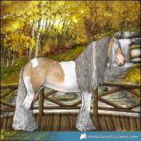 Horse Color:Gray Silver Buckskin Dun Tobiano Brindle