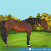 Horse Color:Brown 