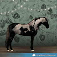 Horse Color:Void White Spotted Liver Red Dun Splash Tobiano Rabicano