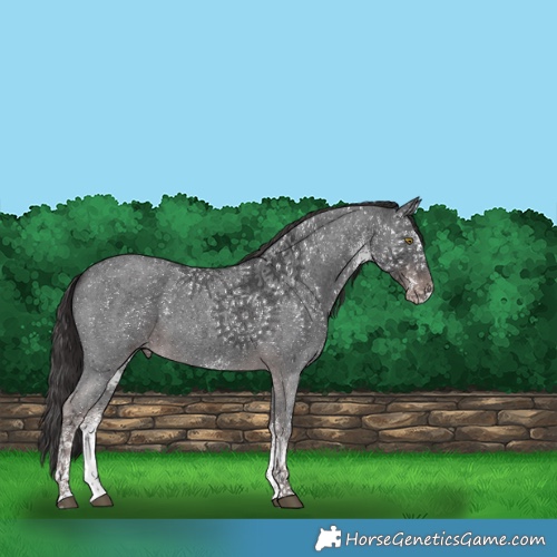 Horse Color:Platinum White Spotted Liver Chestnut 