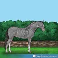 Horse Color:Platinum White Spotted Liver Chestnut 