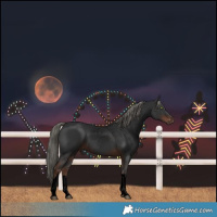 Horse Color:Void White Spotted Liver Chestnut Mushroom Rabicano