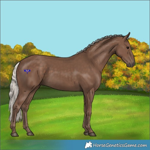 Horse Color:Silver Black 